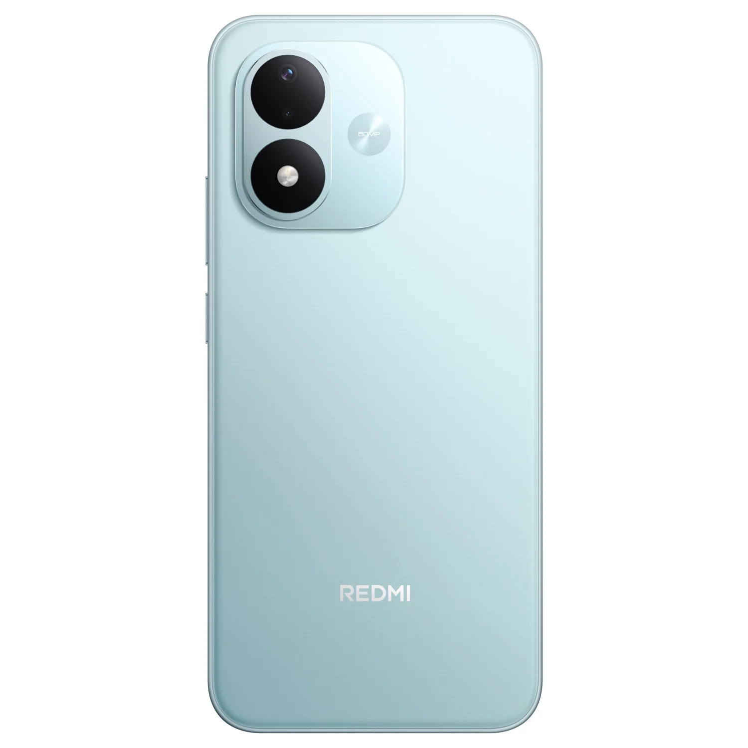 P19_Blue_Back png