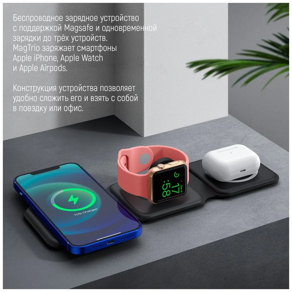 УТ000025384_6