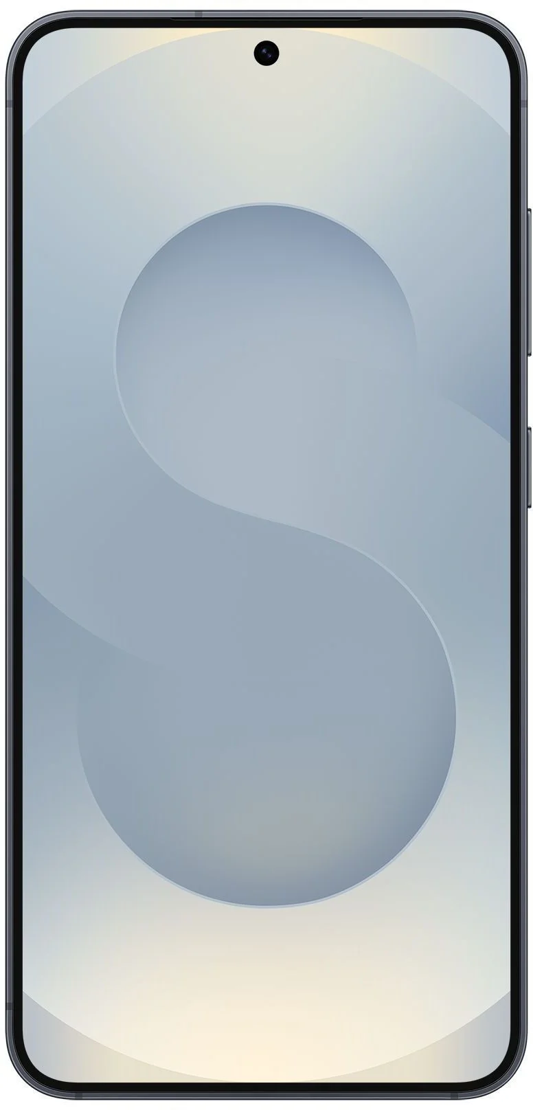 Samsung Galaxy S25_black 5