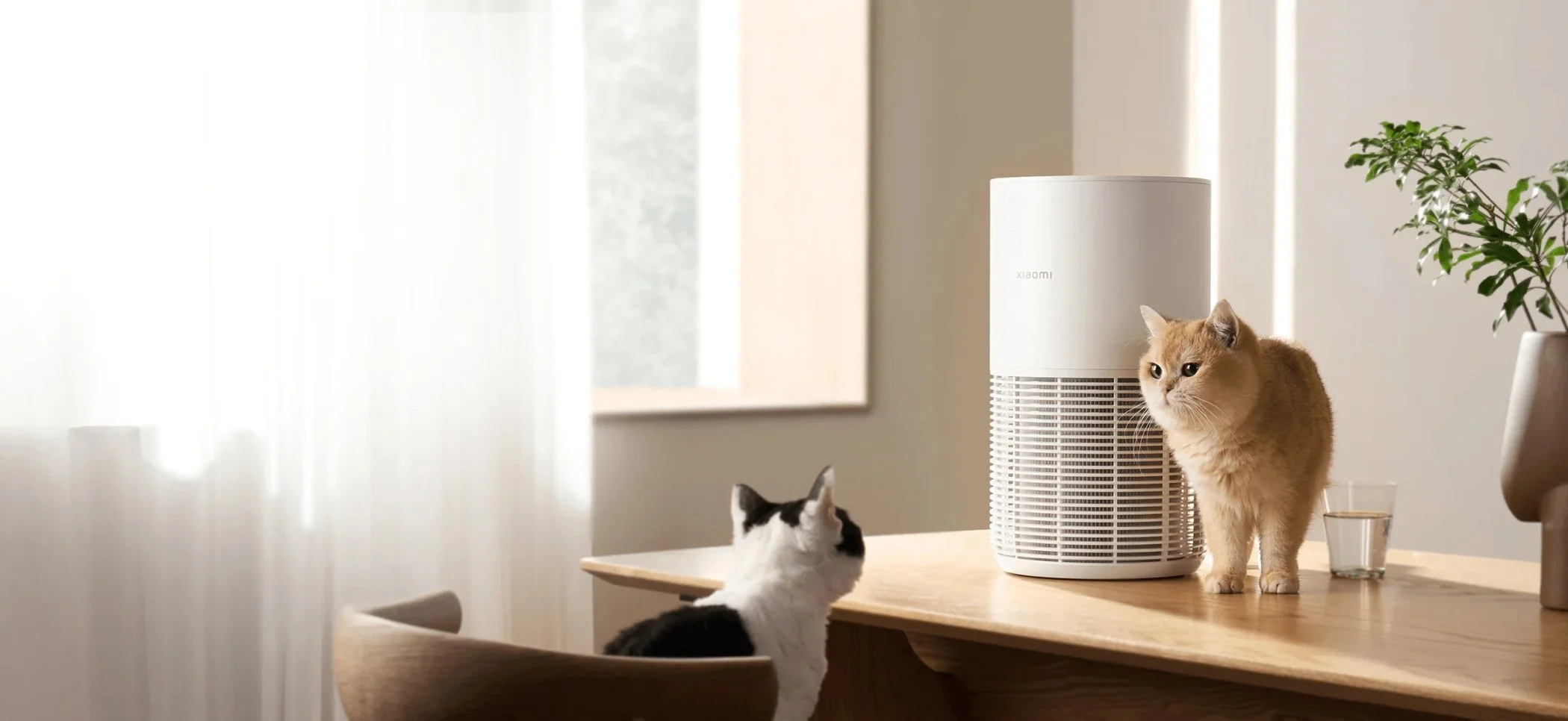 Smart Pet Care Air Purifier_1.jpg