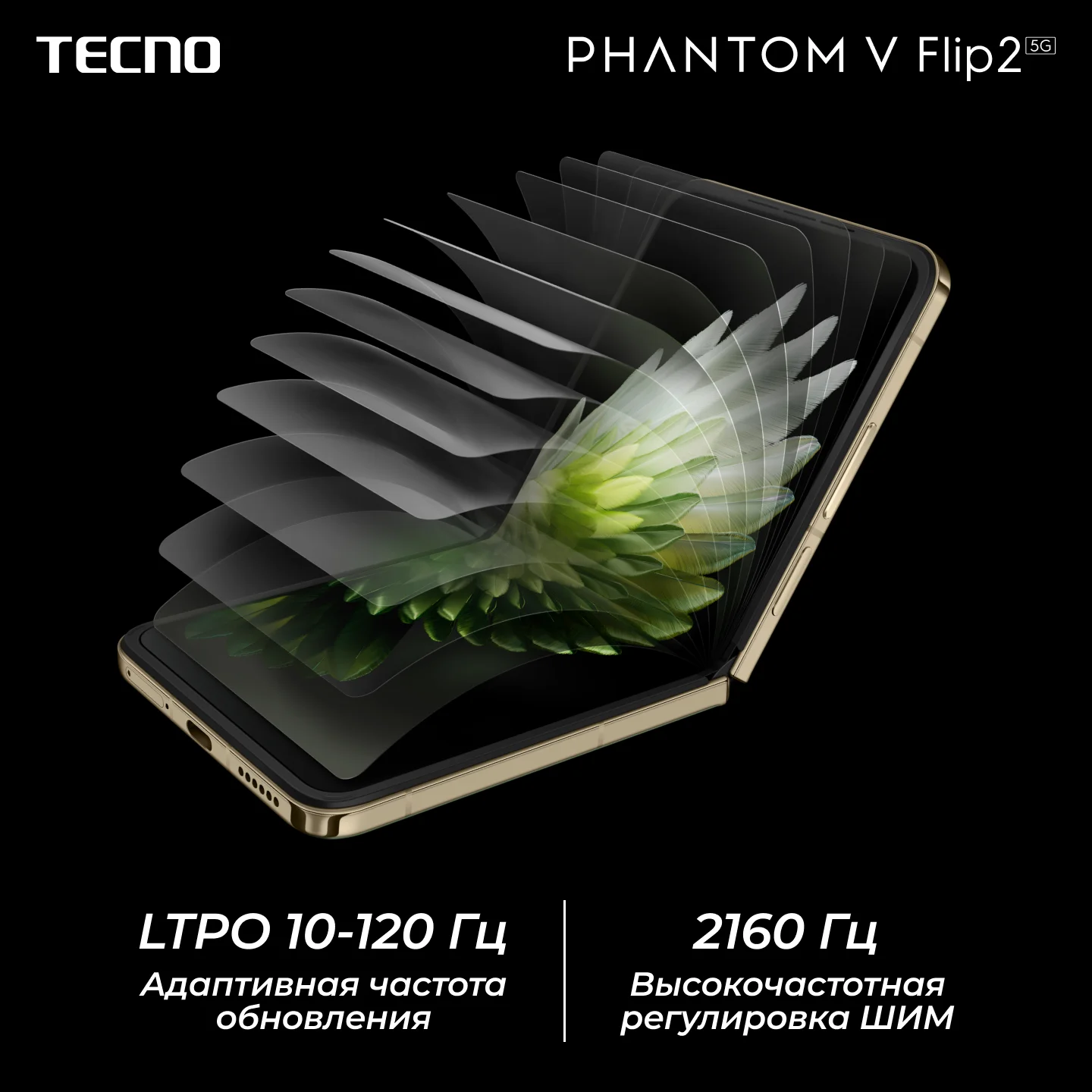 PHANTOM V Flip2_02.png