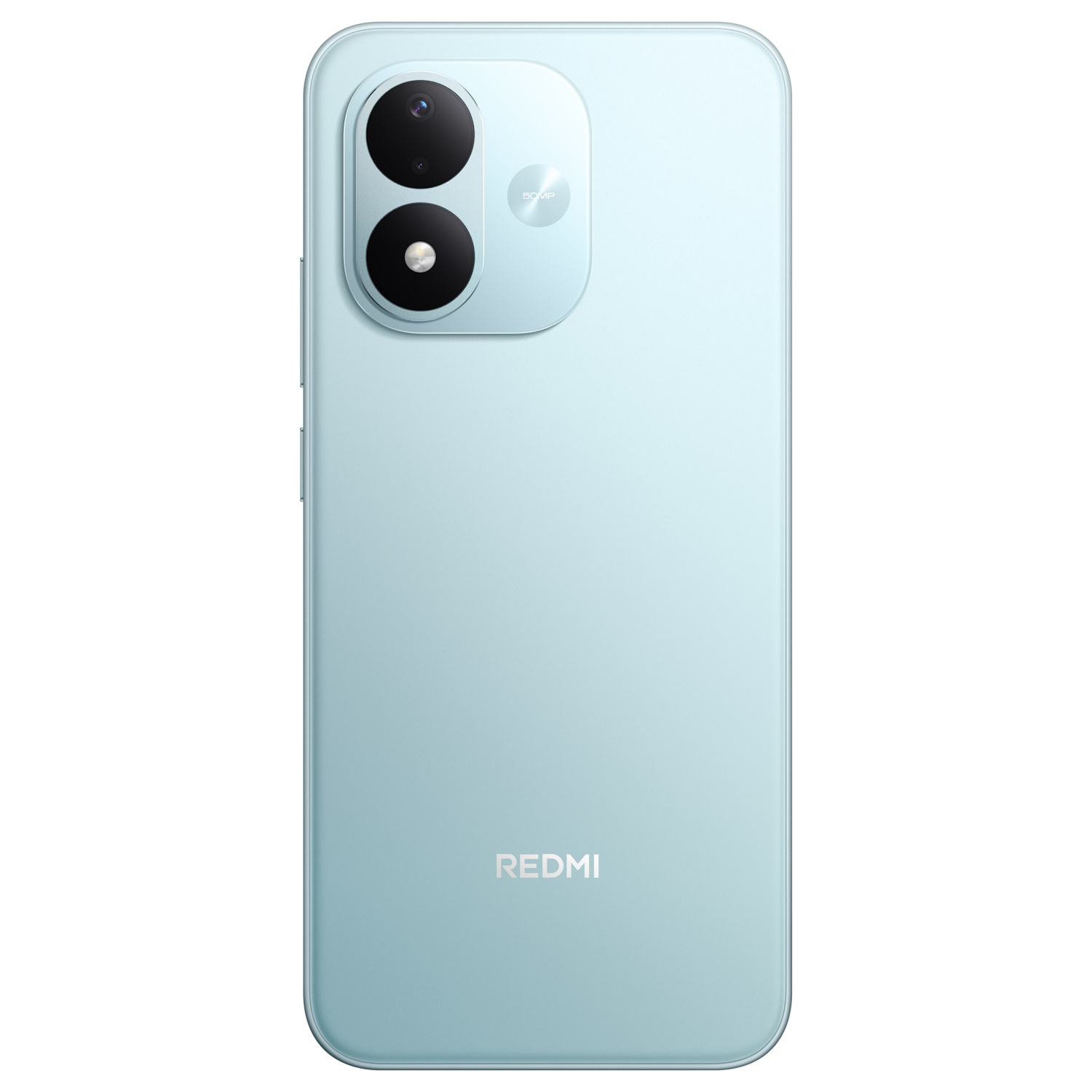 P19_Blue_Back png
