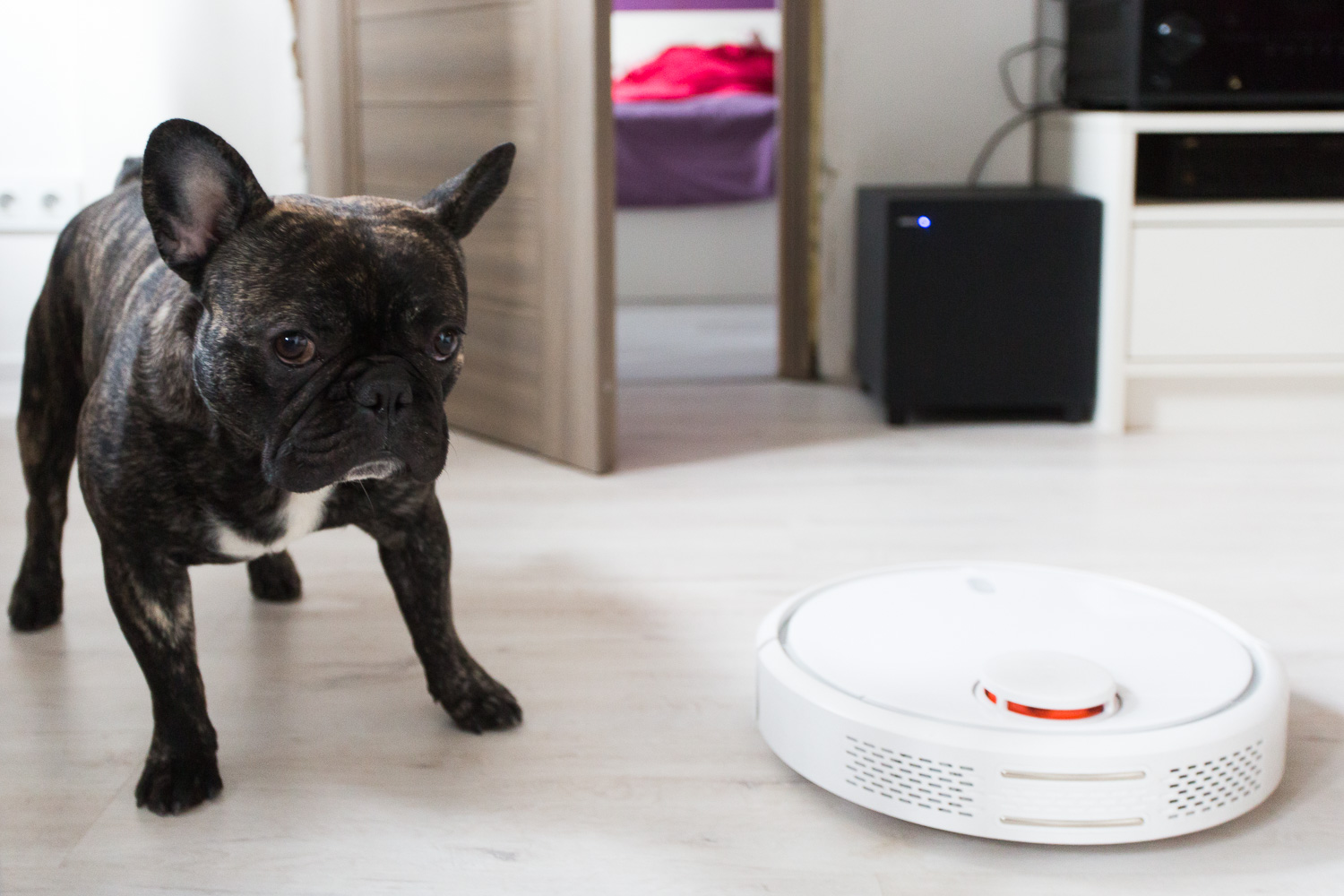 Круглый, быстрый, эффективный: Xiaomi Mi Robot Vacuum