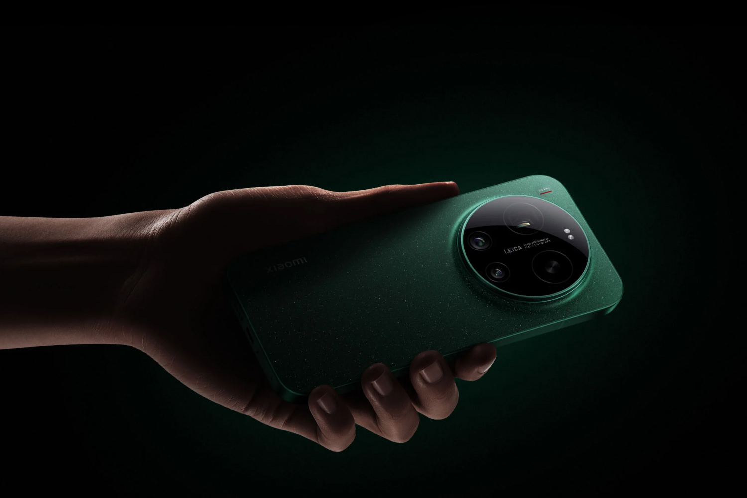 Frame 331.jpg Frame 331.jpg