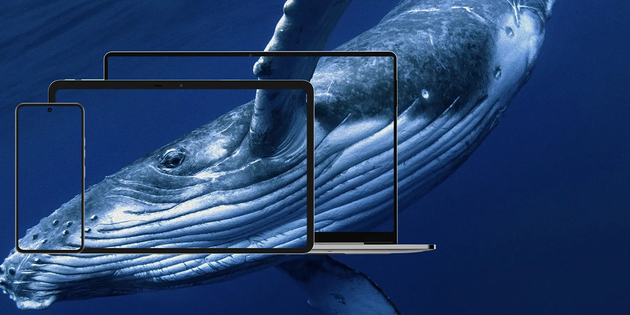 Tecno MegaPad 11_5.jpg Tecno MegaPad 11_5.jpg