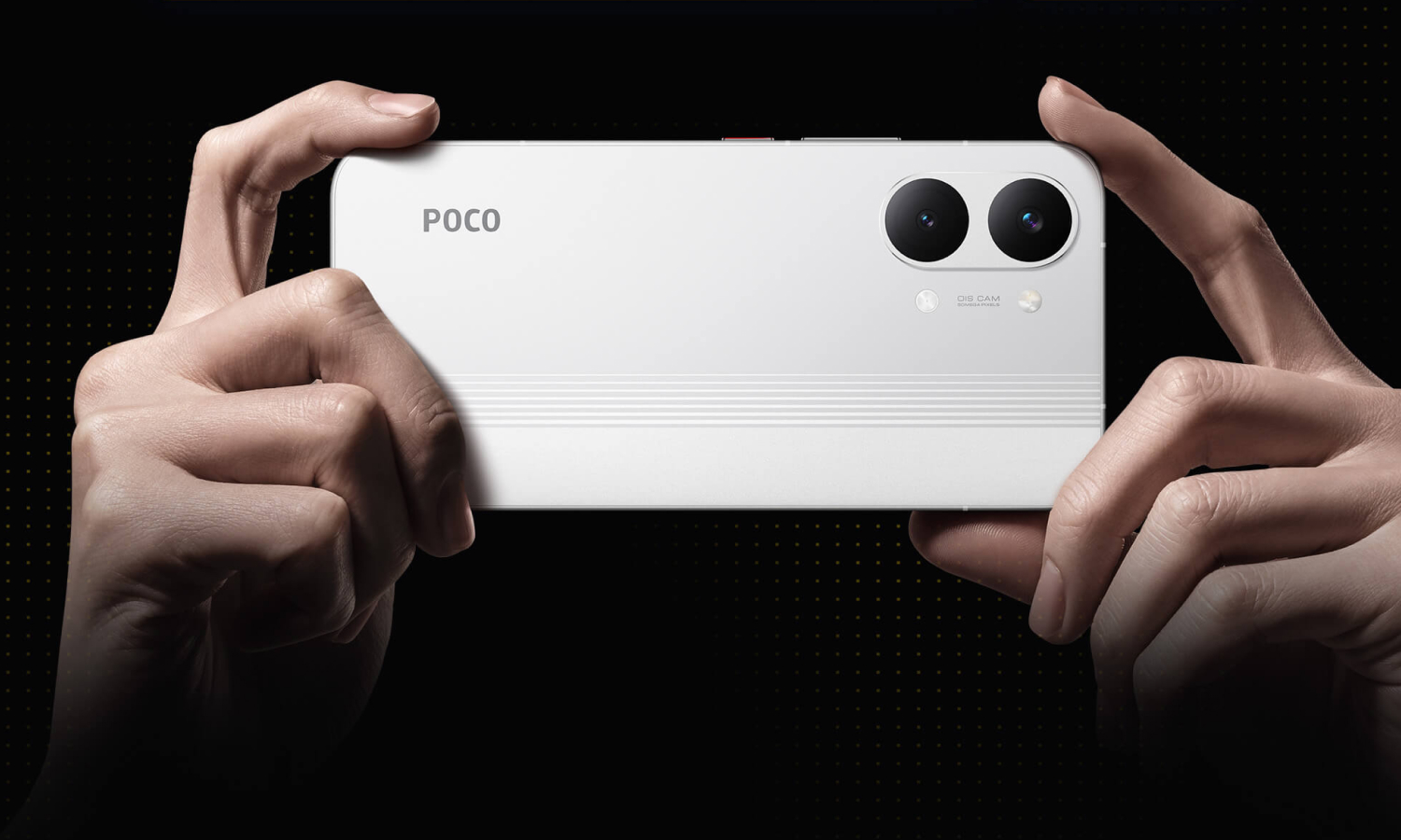 Poco X8 Pro Max