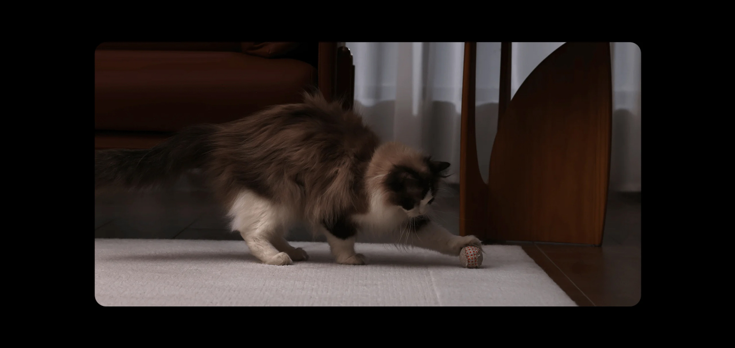 Xiaomi Smart Camera C500