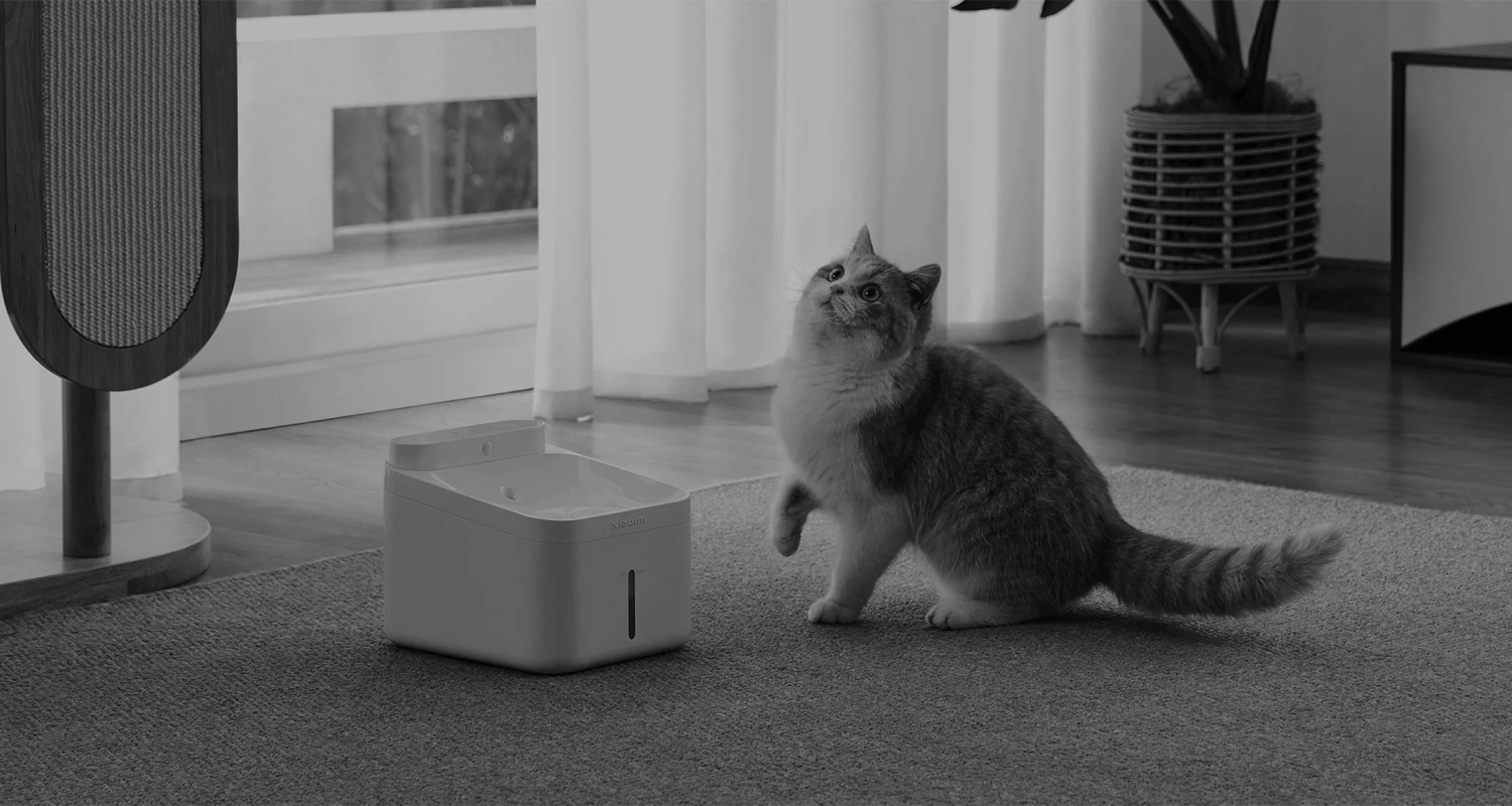 Xiaomi Smart Camera C701