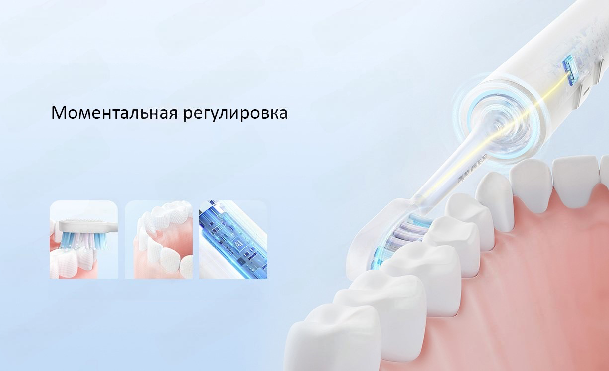 Toothbrush T501