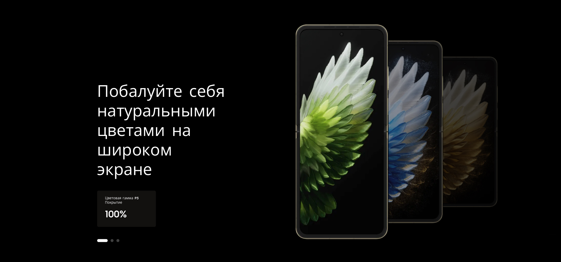 PHANTOM V Flip2_2.jpg