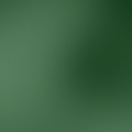 Темно-зеленый